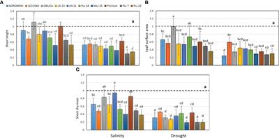 Comparative analysis of cultivated and wild olive genotypes to salinity and drought stress